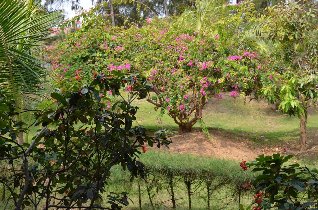 Long Son Mui Ne Village Resort מראה חיצוני תמונה